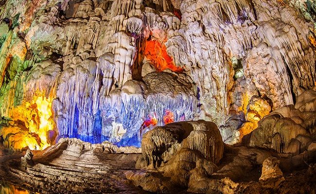 Phát hiện hóa thạch loài thú cổ trong hang động Vịnh Hạ Long - Hình 10 Phat hien hoa thach loai thu co trong hang dong Vinh Ha Long-Hinh-10