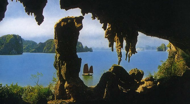 Phát hiện hóa thạch loài thú cổ trong hang động Vịnh Hạ Long - Hình 11 Phat hien hoa thach loai thu co trong hang dong Vinh Ha Long-Hinh-11