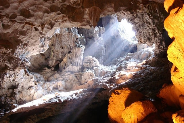 Phát hiện hóa thạch loài thú cổ trong hang động Vịnh Hạ Long - Hình 12 Phat hien hoa thach loai thu co trong hang dong Vinh Ha Long-Hinh-12