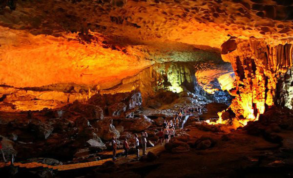 Phát hiện hóa thạch loài thú cổ trong hang động Vịnh Hạ Long - Hình 6 Phat hien hoa thach loai thu co trong hang dong Vinh Ha Long-Hinh-6