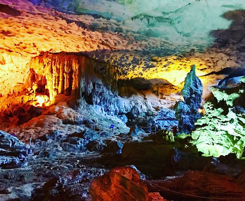 Phát hiện hóa thạch loài thú cổ trong hang động Vịnh Hạ Long - Hình 7 Phat hien hoa thach loai thu co trong hang dong Vinh Ha Long-Hinh-7