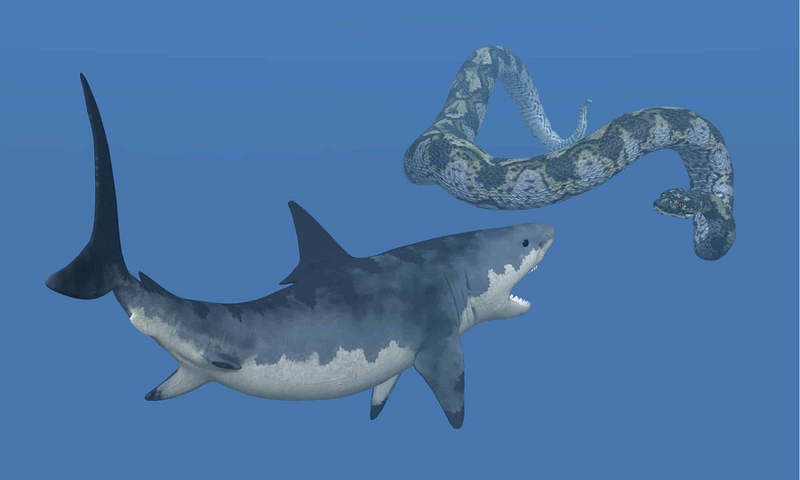 Neu ca map Megalodon “dung do” tran Titanoboa, chuyen gi se xay ra?-Hinh-7