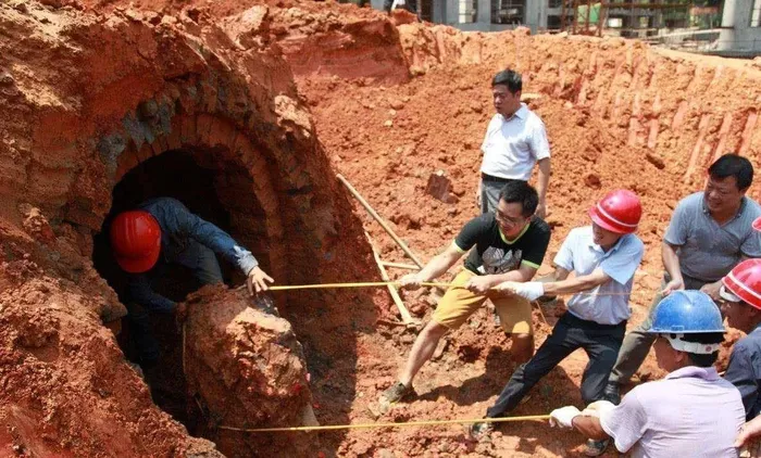 Di tim lon bi lac, bong “dung trung” mo co cua hoang de-Hinh-3