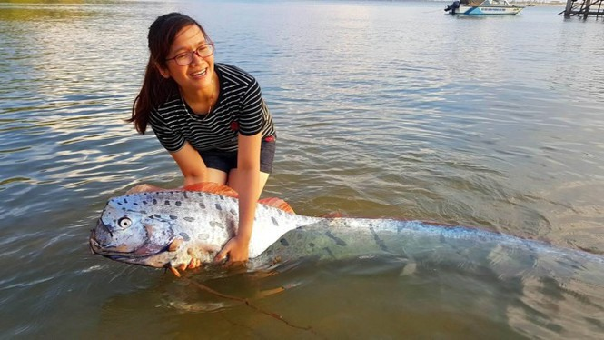 Vi sao nguoi Nhat tuyet doi tin ca mai cheo biet “tien tri” dong dat?-Hinh-9