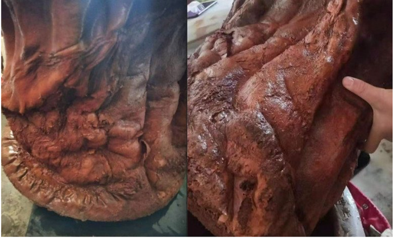 Mang khúc gỗ đỏ về nhà, ai ngờ là “báu vật” Trời ban - Hình 2 Mang khuc go do ve nha, ai ngo la “bau vat” Troi ban-Hinh-2