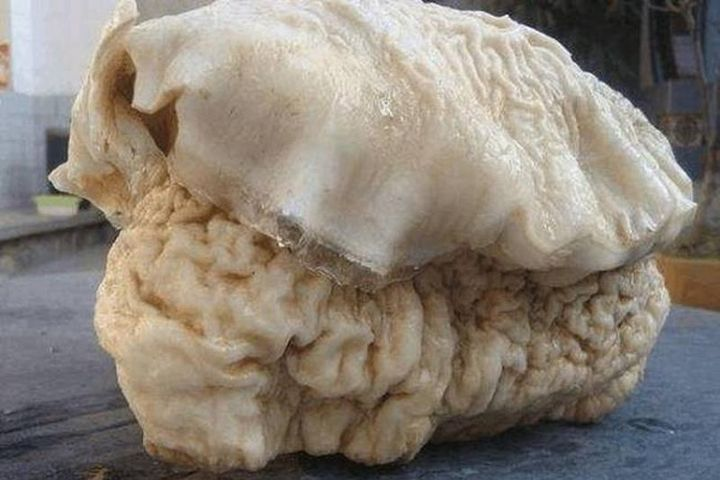 Mang khúc gỗ đỏ về nhà, ai ngờ là “báu vật” Trời ban - Hình 6 Mang khuc go do ve nha, ai ngo la “bau vat” Troi ban-Hinh-6