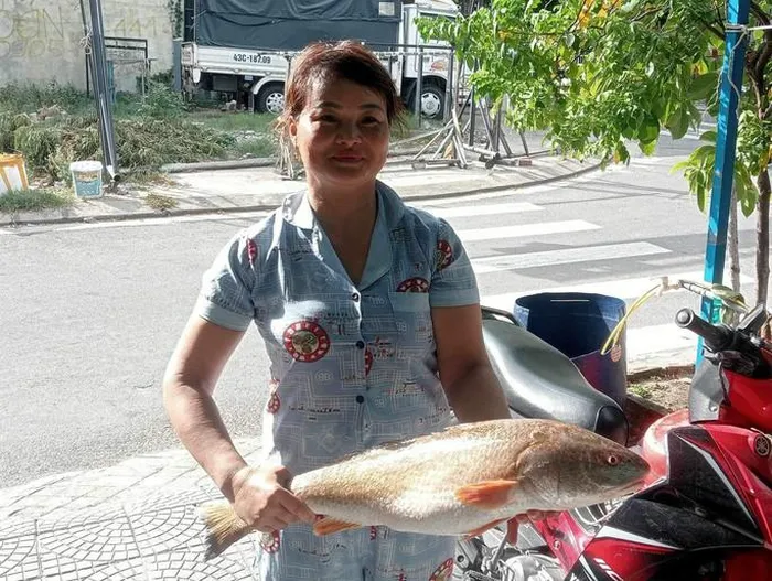 Bat duoc loai ca tien ty quy nhu vang, ngu dan Da Nang “mung quynh”