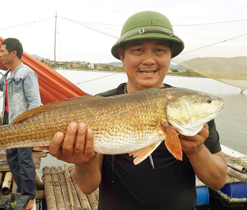 Tan muc ca vay vang long lanh sa luoi ngu dan Nghe An-Hinh-4