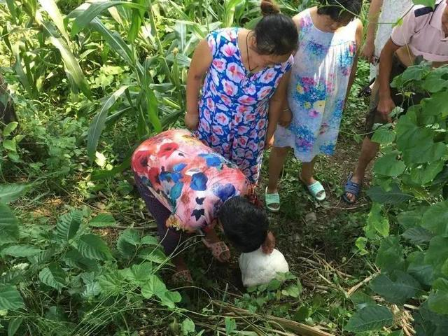 Mang “qua bong” trang di kiem dinh, chuyen gia bat rua tay ngay lap tuc-Hinh-11