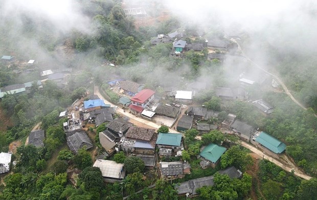 Ngam che co thu hang tram tuoi o do cao 1.400m tai Yen Bai