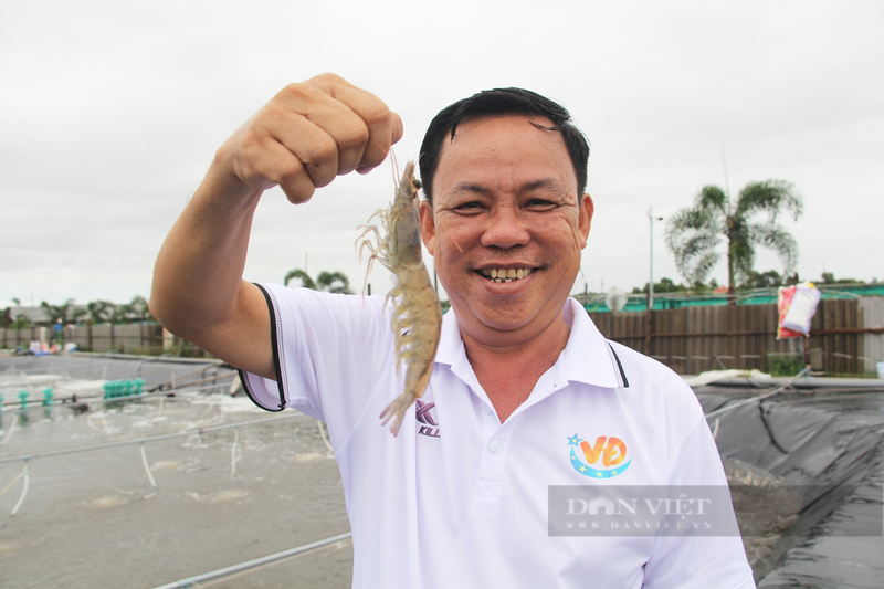 Nuoi tom cong nghe cao thu lai hon tram ty moi nam