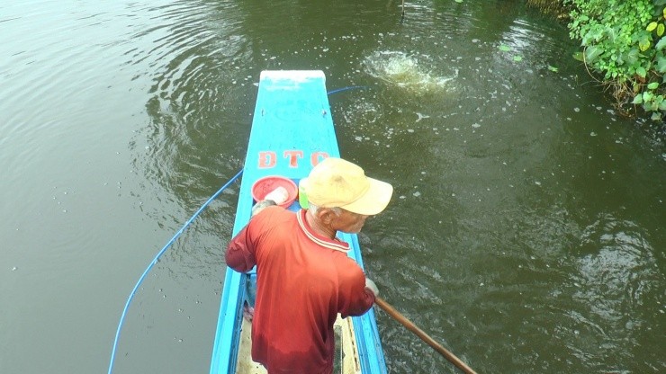 Ngam minh hang gio bat con hai manh duoi song-Hinh-8