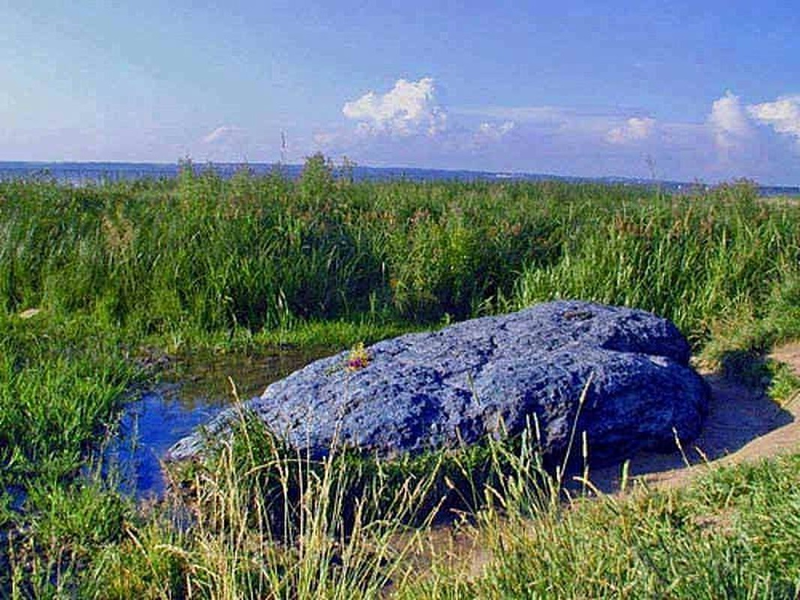 Quai di tang da xanh tu di chuyen, chuyen gia dien dau giai ma-Hinh-7