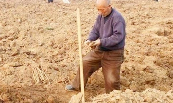 Dung trung vat la trong ao nha, chuyen gia thot len “Bao vat Troi cho!”