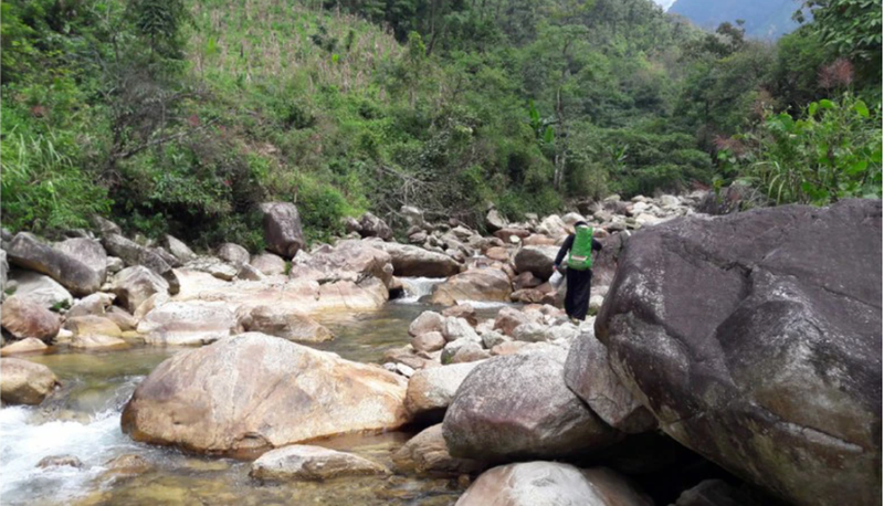 Loai ca quy chi co o Hoang Lien Son: Duoc vi nhu “nhan sam nuoc