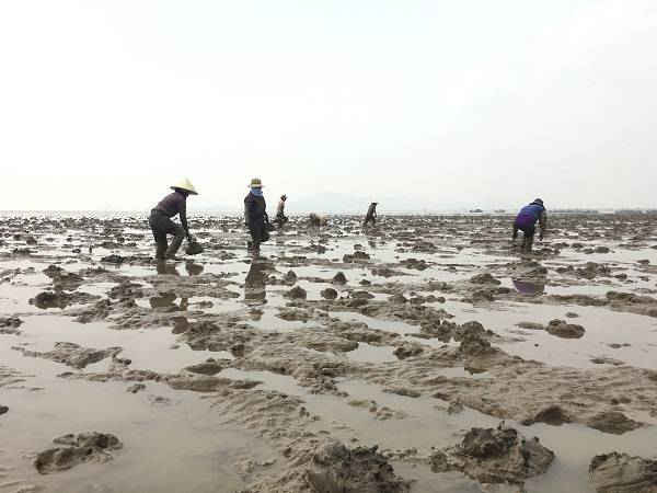 Loai ca leo cay thoan thoat, “hinh xam” day minh: Viet Nam khong thieu!-Hinh-8