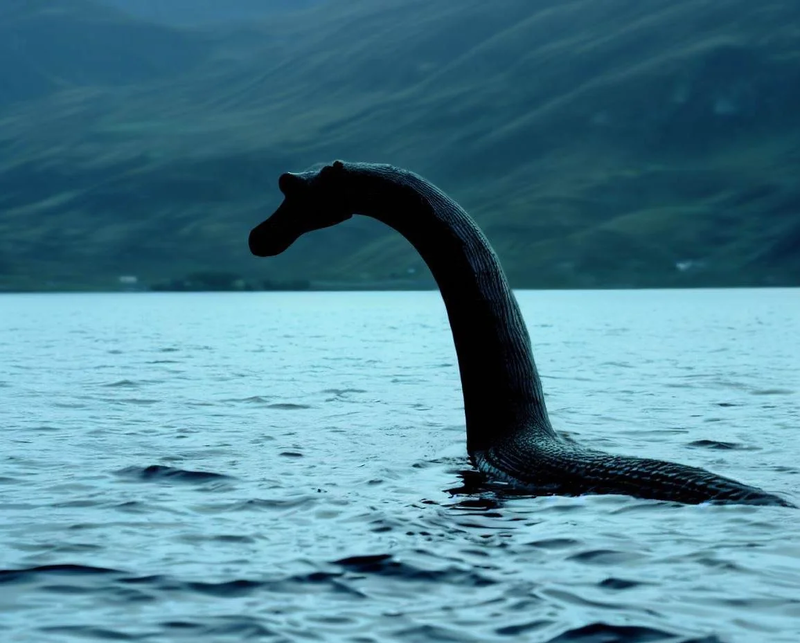 Nong: Tho san quai vat ho Loch Ness tom duoc sinh vat huyen thoai?-Hinh-3