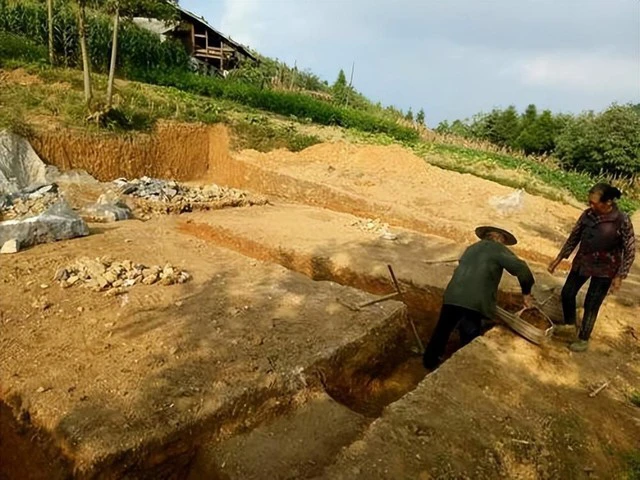 Dao mong dung trung lon dong, bun run nghe chuyen gia he lo lai lich