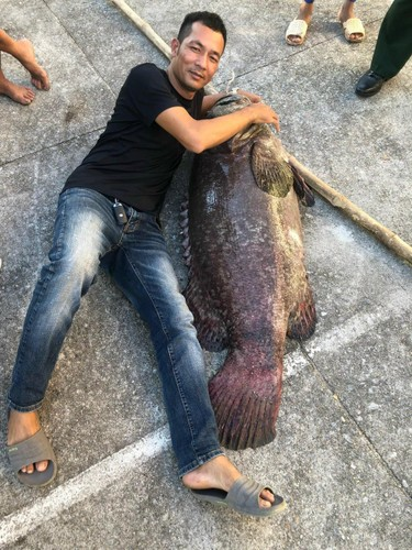 Ca mu bien 70kg cung loat quai ngu khung sa luoi ngu dan Viet-Hinh-3