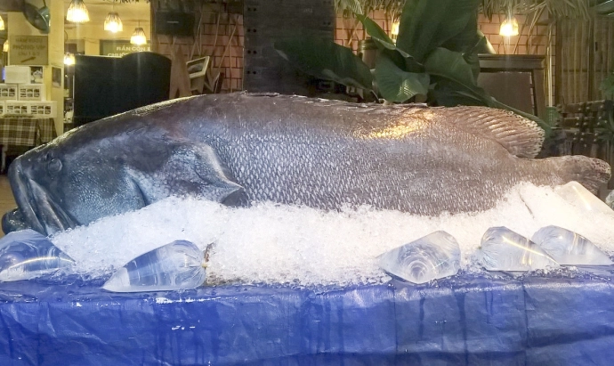 Ca mu bien 70kg cung loat quai ngu khung sa luoi ngu dan Viet-Hinh-2