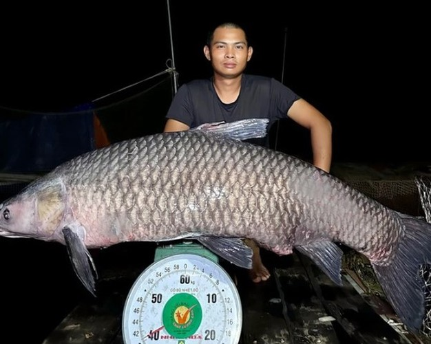 Ca mu bien 70kg cung loat quai ngu khung sa luoi ngu dan Viet-Hinh-4