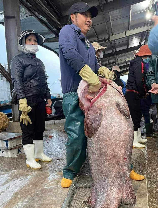 Ca mu bien 70kg cung loat quai ngu khung sa luoi ngu dan Viet