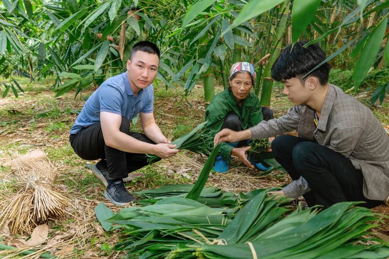 Loai la rung day o Viet Nam, ra nuoc ngoai thanh hang hot-Hinh-7