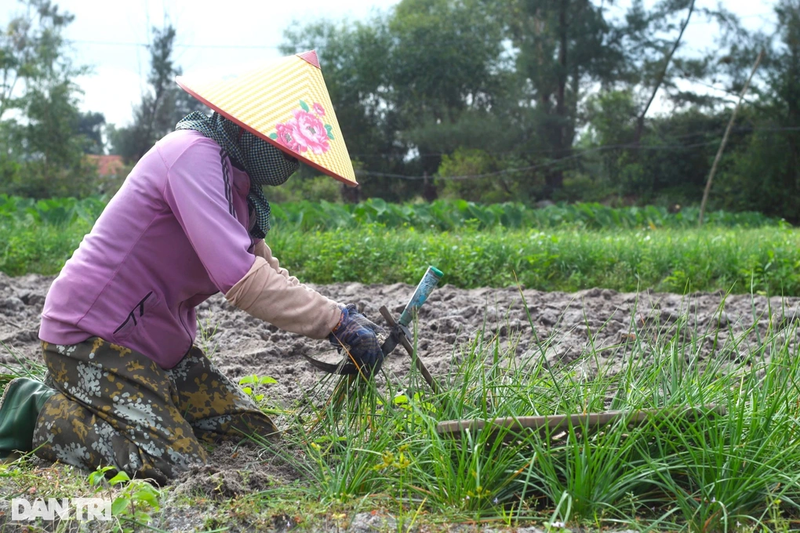 Gia ca that thuong, vua kieu Tet o Quang Nam thap thom