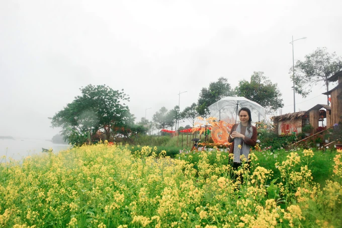 Check-in vuon hoa ruc ro “Di ve noi co gio” o Quang Ngai-Hinh-2