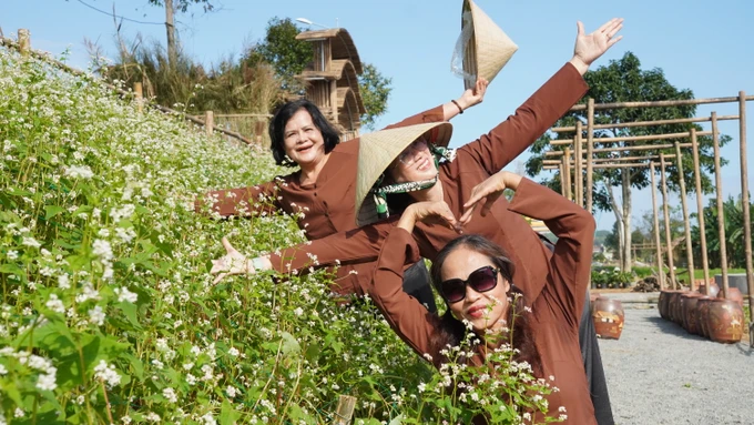 Check-in vuon hoa ruc ro “Di ve noi co gio” o Quang Ngai-Hinh-9