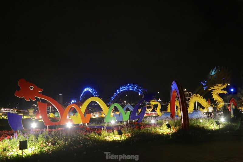 Tram tro ve dep cua linh vat Rong o Da Nang-Hinh-9