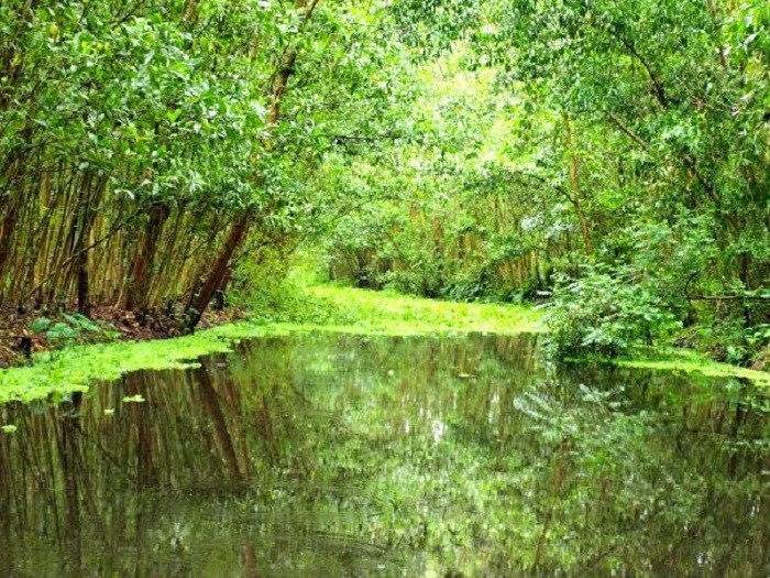 Lanh nguoi noi nuoi thuy quai khong lo o mien Tay Viet Nam-Hinh-7