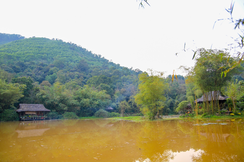 Ngo ngang canh sac chon ‘Bong lai tien canh’ giua long xu Hue-Hinh-10