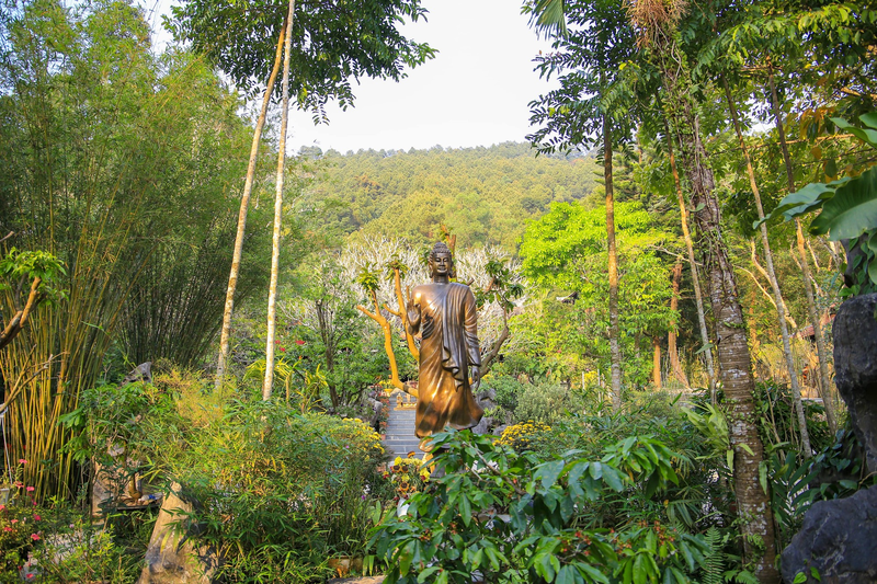 Ngo ngang canh sac chon ‘Bong lai tien canh’ giua long xu Hue-Hinh-4