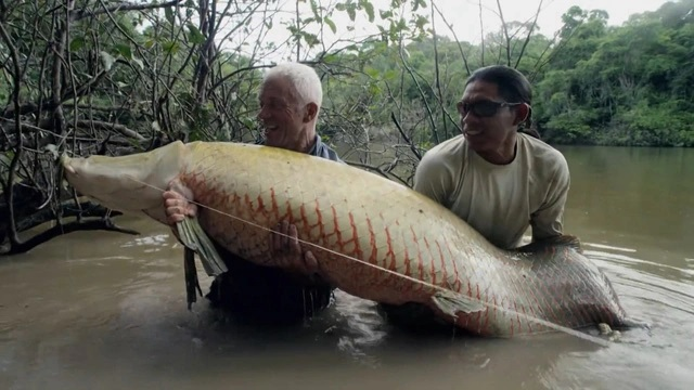 Di cau ca, dung trung 'quai ngu' khung, can thu kho nhoc keo vao bo