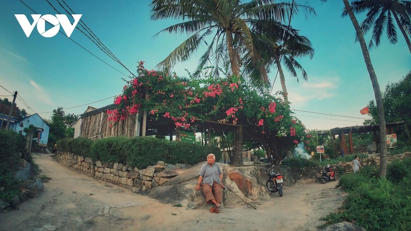 Kham pha Sa Huynh, noi co bai bien dep nhat Quang Ngai-Hinh-8