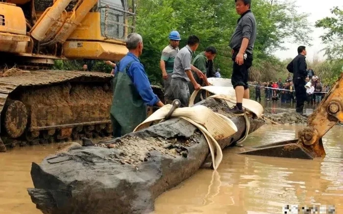 Dao duoc khuc go khung, chuyen gia phan 'bau vat' nghin ty