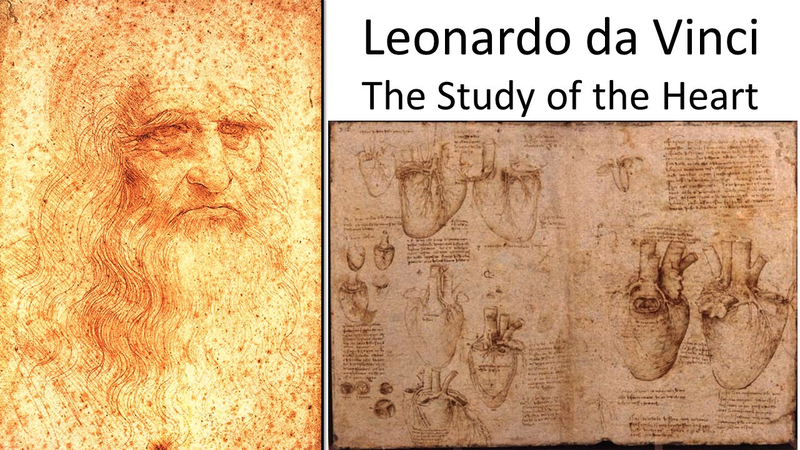 Giai ma bi an ban phac thao trai tim nguoi cua Leonardo da Vinci-Hinh-6