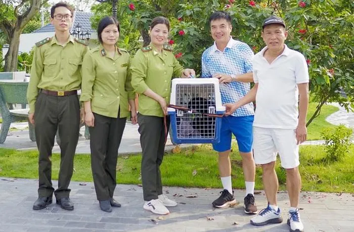 Vuon den ma hung lac vao nha dan o Hai Phong: Loai sieu hiem!-Hinh-2