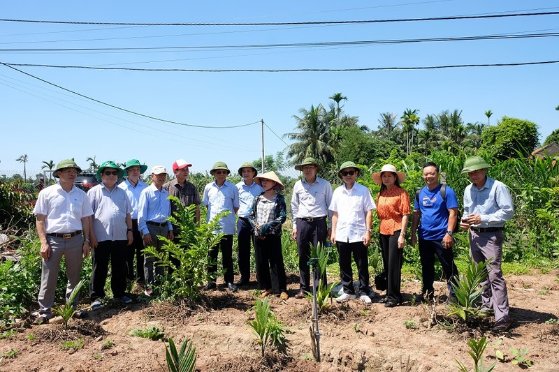 Thanh Hoa: Kiem tra du an quan ly rung ngap man