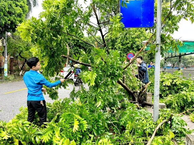 Ha Noi: Thanh nien tinh nguyen khac phuc hau qua bao so 3 Yagi-Hinh-2