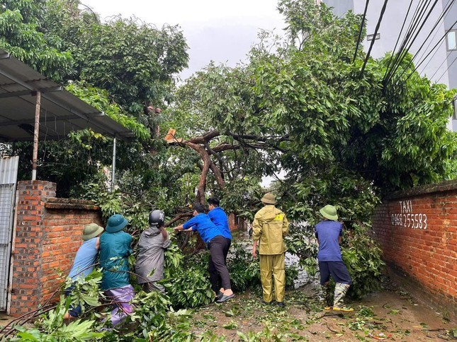 Ha Noi: Thanh nien tinh nguyen khac phuc hau qua bao so 3 Yagi-Hinh-5