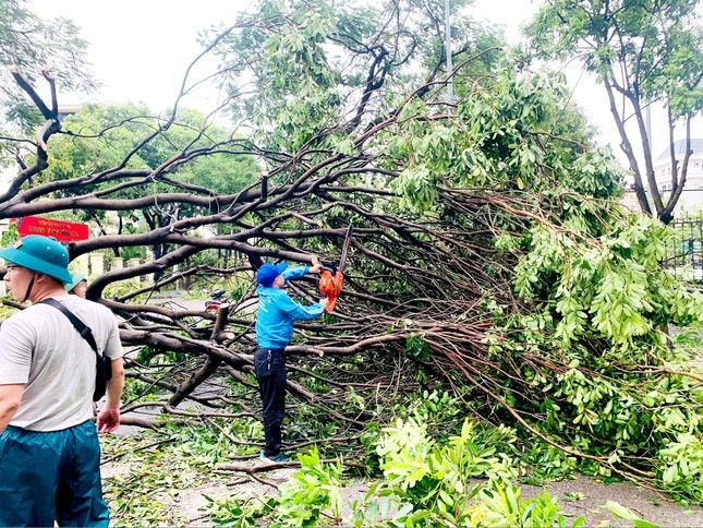 Ha Noi: Thanh nien tinh nguyen khac phuc hau qua bao so 3 Yagi-Hinh-6