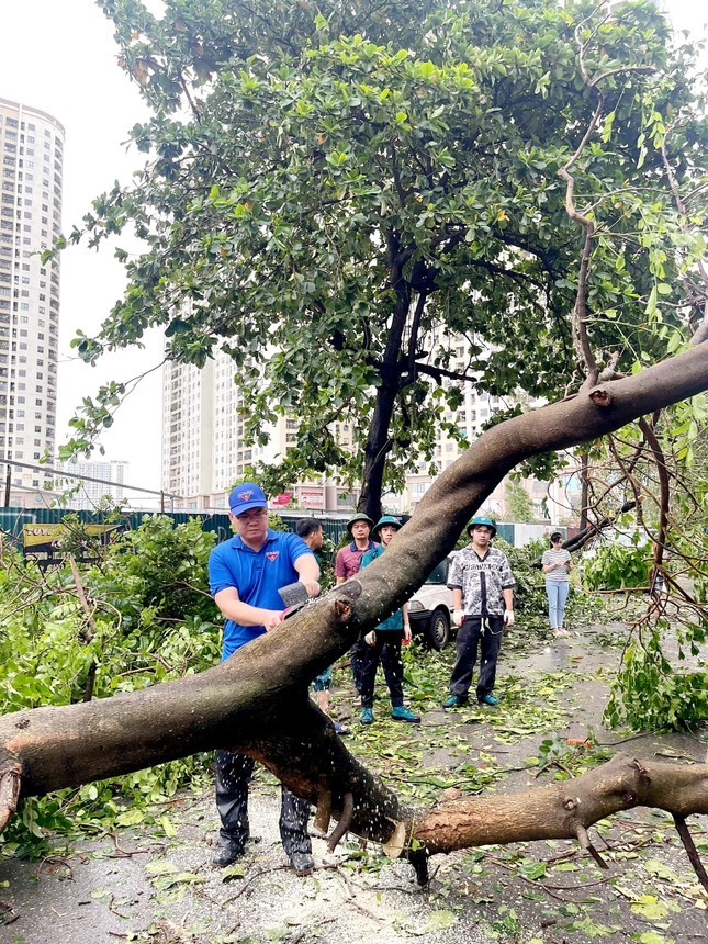 Ha Noi: Thanh nien tinh nguyen khac phuc hau qua bao so 3 Yagi-Hinh-7