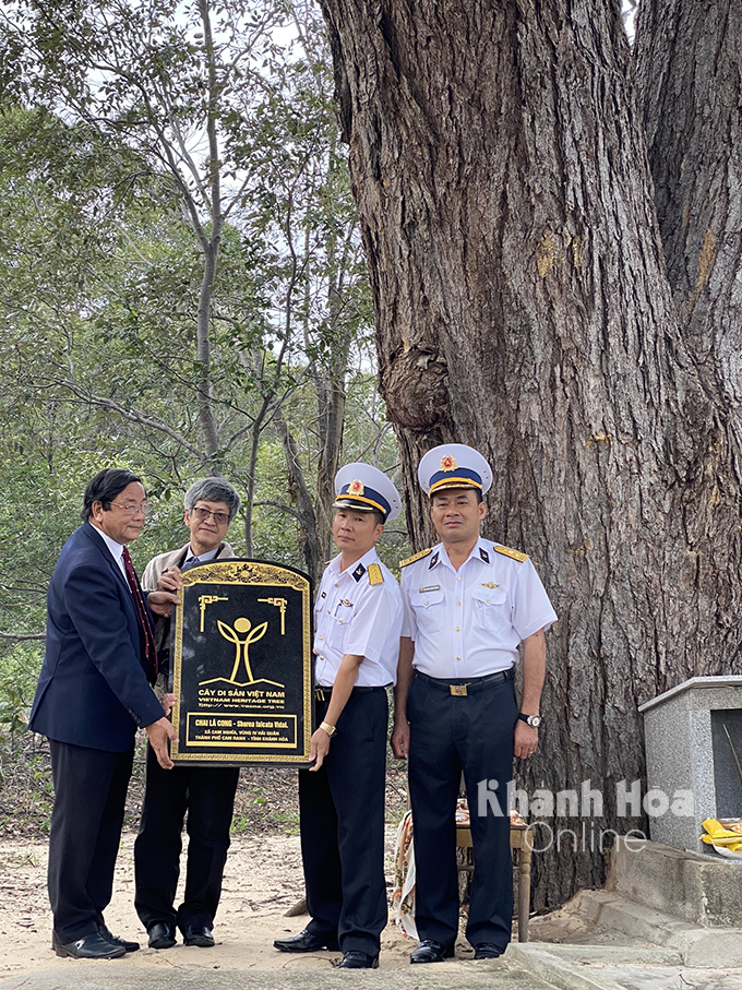 Loai cay quy hiem nhat hanh tinh, chi Viet Nam moi co-Hinh-7