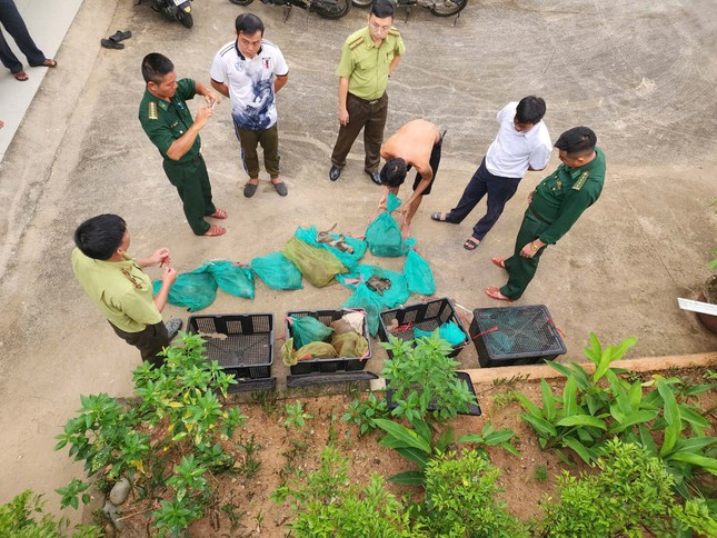 17 ca the khi duoi dai bi van chuyen trai phep: Loai cuc quy