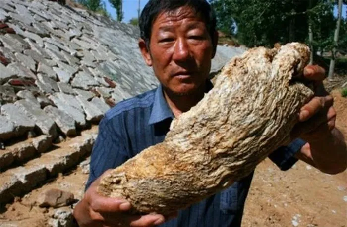 Nhat duoc cuc da la nang 70kg, bat ngua vi gia tri khung