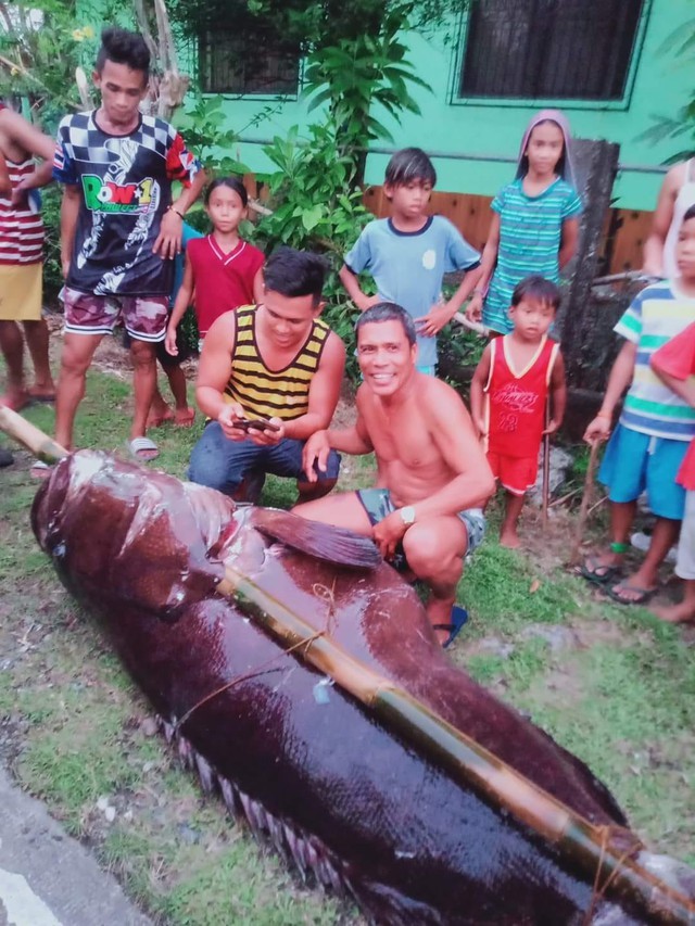 Ca mu khong lo nang 187kg dinh luoi ngu dan