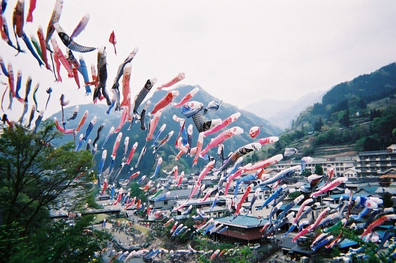 Ca chep hon 40 kg va loat quai ngu khung 'thi nhau' sa luoi-Hinh-9