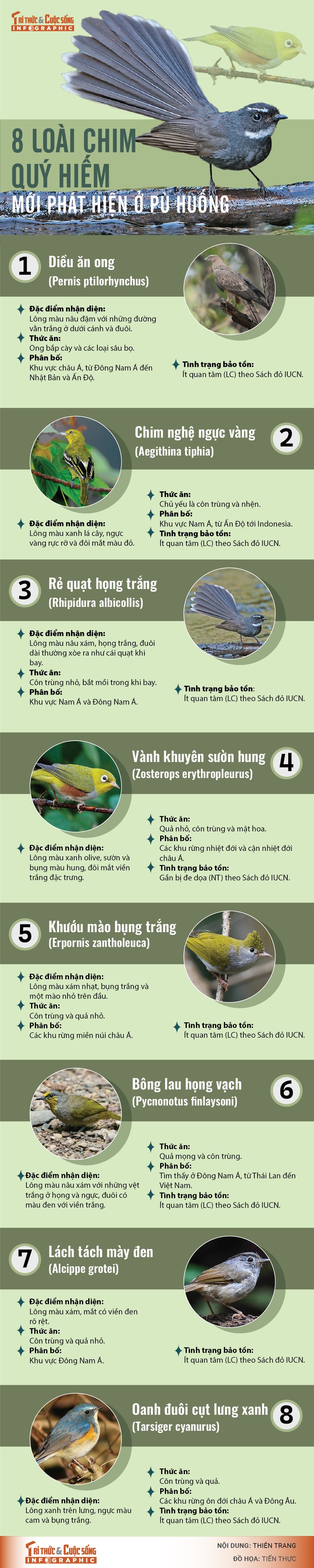 [INFOGRAPHIC]: 8 loai chim quy hiem moi phat hien o Pu Huong